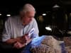Dinosaurs: The Final Day with David Attenborough: release date, trailer and how to watch new Tanis documentary