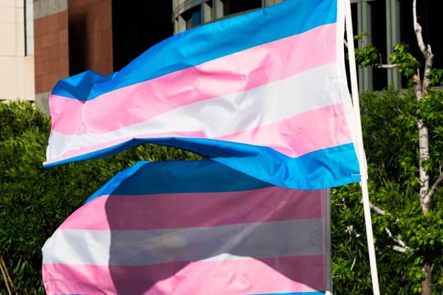 The transgender flag is blue, pink and white (Photo: ROBYN BECK/AFP via Getty Images)