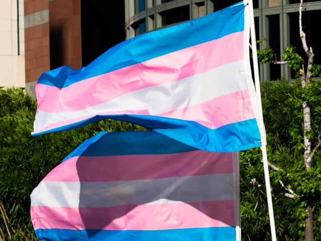 The transgender flag is blue, pink and white (Photo: ROBYN BECK/AFP via Getty Images)