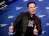 Why did Elon Musk buy Twitter? Tesla boss’ net worth, who owns social media network, what it is worth