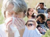 Hay fever is usually worse between late March and September (NationalWorld)