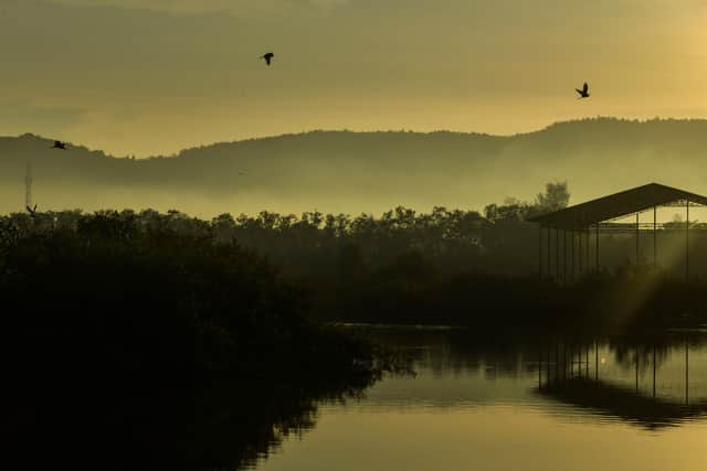 Egrets fly past during sunrise at Kajhu beach, Aceh province during Earth Day on April 22, 2021. (Photo by CHAIDEER MAHYUDDIN / AFP)