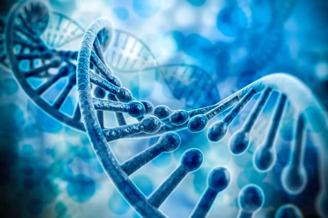 Researchers say it is possible to detect patterns in the DNA of cancers (Photo: Adobe)