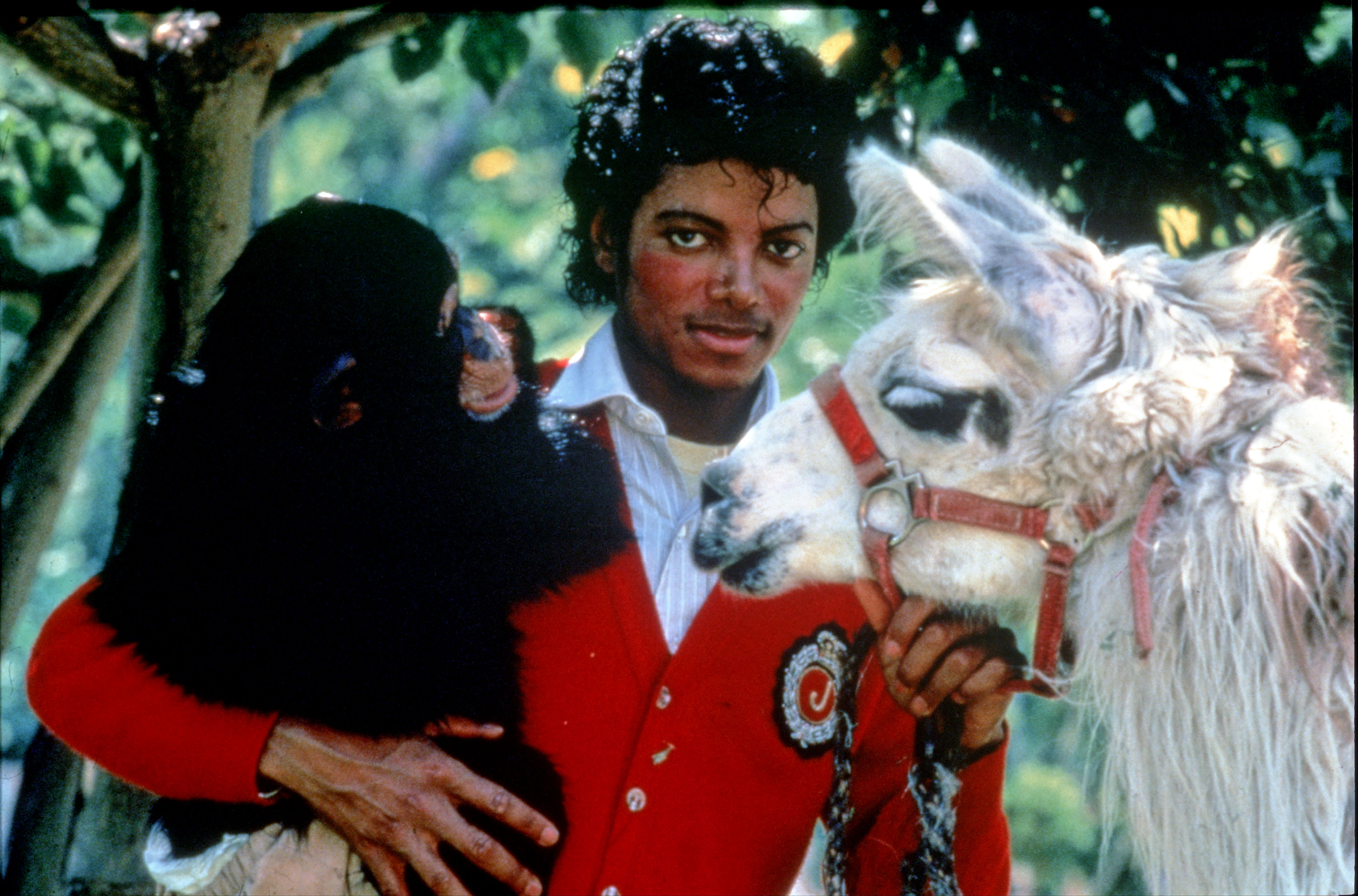 How did Michael Jackson die? How to watch Ross Kemp’s Searching For Michael Jackson’s Zoo documentary on TV