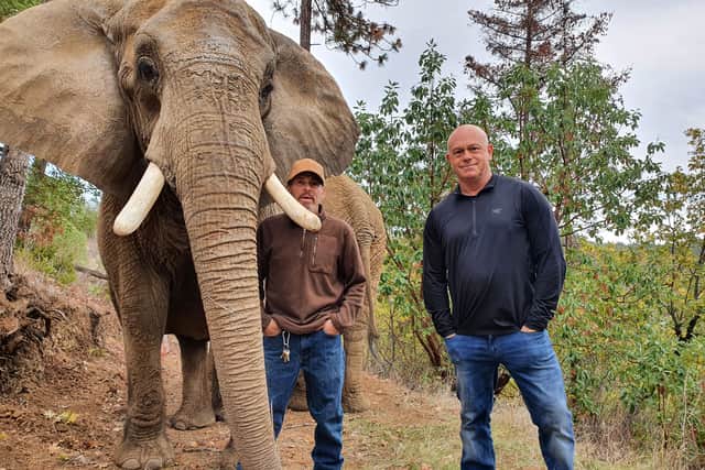 Ross Kemp speaks to the owner of one of Michael Jackson’s elephants 