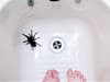 Mrs Hinch fans uncover simple hack to repel and keep spiders out of the house