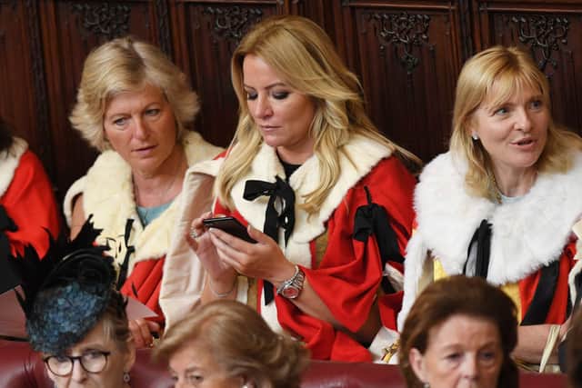 Mone arrives in the House of Lords before the State Opening Of Parliament in 2017 (Photo: Stefan Rousseau - WPA Pool/Getty Images)