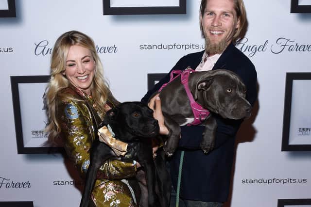 Kaley Cuoco, Karl Cook and Todd and Blue the Pitbulls arrive at the 9th Annual Stand Up For Pits event hosted by Kaley Cuoco at The Mayan on November 03, 2019 in Los Angeles, California (Photo by Amanda Edwards/Getty Images)