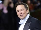 Elon Musk is one of the world’s most high profile billionaires (image: Getty Images)