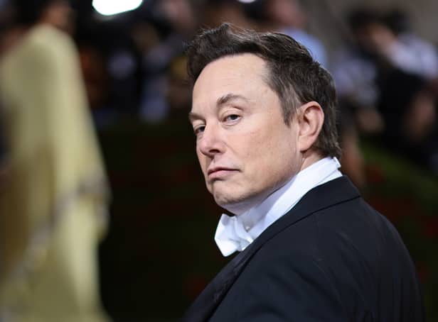 <p>Elon Musk is the richest person in the world with a net worth of $219 billion (Pic: Getty Images)</p>