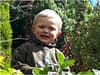 Dog attack Rochdale: boy, 3, killed in attack named by police, as Cane Corso destroyed and other dogs seized
