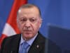 Can Turkey veto Finland and Sweden NATO membership? Why Recep Tayyip Erdoga wants to block them from joining