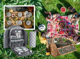 Perfect picnics: best picnic baskets, cooler bags and blankets