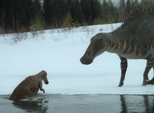 <p>Edmontosaurus and a juvenile survive in freezing temperatures</p>