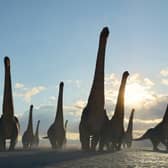 Dreadnoughtus are believed to have had external air sacks on their necks