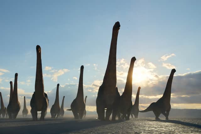 Dreadnoughtus are believed to have had external air sacks on their necks