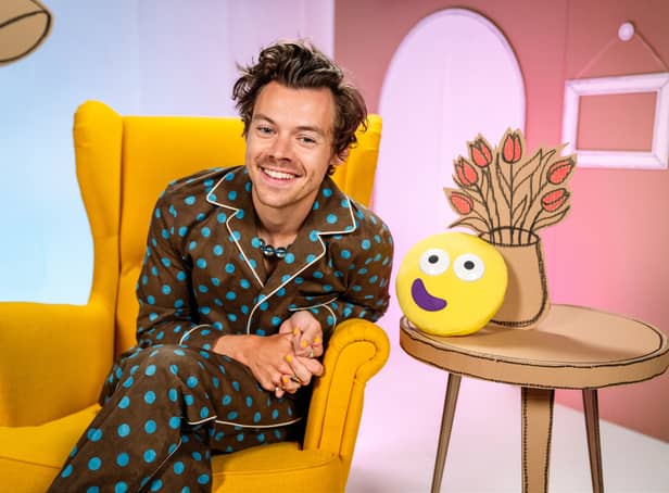 <p>Former One Direction star Harry Styles  will read Jess Hitchman’s ‘In Every House, On Every Street’ (Photo: BBC)</p>