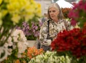 The Chelsea Flower Show will take place in May 2022.