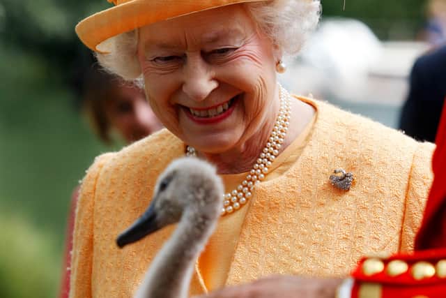 The Queen owns all of the swans, whales and dolphins in the UK waters.
