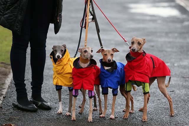 The event is taking place at The Kennels in Goodwood, Chichester (Photo by Matt Cardy/Getty Images)
