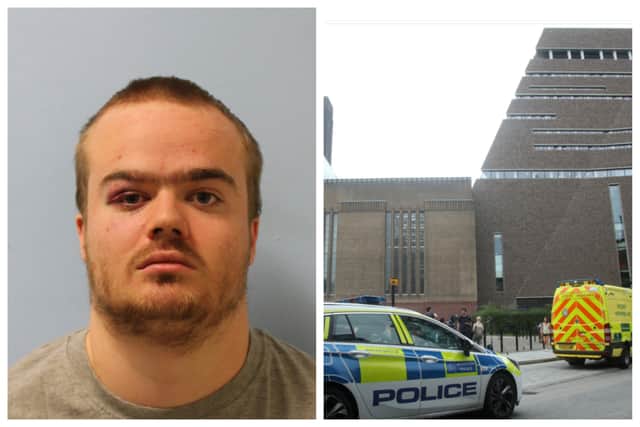 Jonty Bravery was jailed for throwing the then 6-year-old boy off the viewing platform at the Tate Modern.