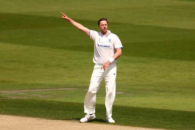 Robinson in action for Sussex