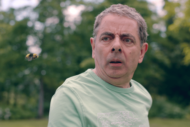The Bee as the Bee and Rowan Atkinson as Trevor in Man vs Bee (Credit: Netflix)