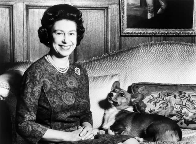 Queen Elizabeth II posing with her corgi dogs in 1970.