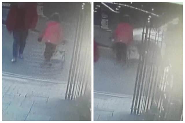 Police have released CCTV of the moment an elderly woman was knocked over in a hit-and-run.