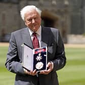 Sir David Attenborough after being appointed a Knight Grand Cross of the Order of St Michael and St George following an investiture ceremony at Windsor Castle on June 8, 2022 in Windsor, England.