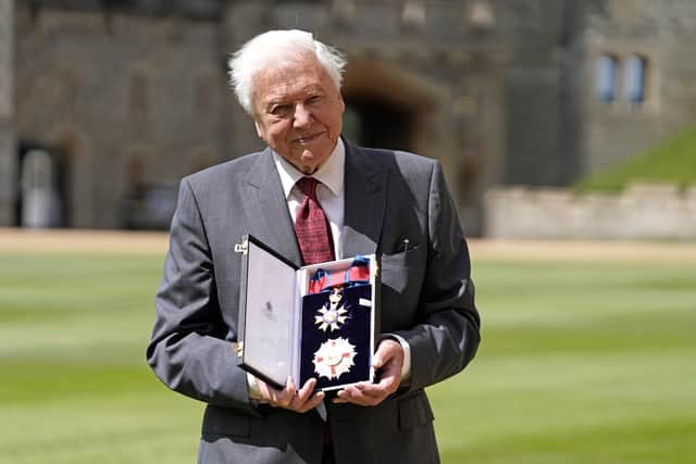 Sir David Attenborough after being appointed a Knight Grand Cross of the Order of St Michael and St George following an investiture ceremony at Windsor Castle on June 8, 2022 in Windsor, England.