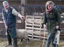 Yorkshire Shepherdess Amanda Owen and her husband Clive sort out some new born lambs prior to giving them health checks in 2014 (Photo: Ian Forsyth/Getty Images)