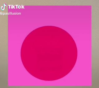 Tik Tok user Pasillusion, whose real name is Pete Sciarrino, has baffled viewers with this pink circle optical illusion. Picture by Tik Tok/Pasillusion