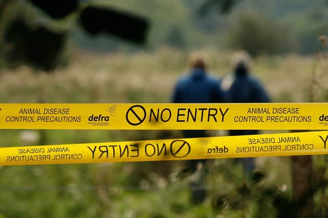 An investigation has been launched into a suspected outbreak of foot and mouth disease on a Norfolk pig farm. (Credit: Getty Images)