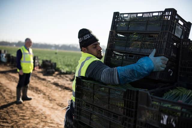 Fewer foreign workers are coming to the UK (image: AFP/Getty Images)