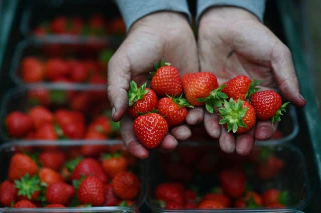 British Strawberries are available in UK supermarkets between April and October (image: AFP/Getty Images)