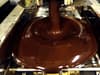 Salmonella outbreak at chocolate factory: plant that supplies Hershey, Nestle and Unilever stops production