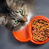 Tesco has announced it will no longer stock Mars pet food brands Whiskas, Dreamies and Pedigree.