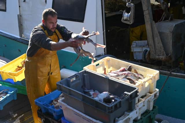 Fishing crews are seeing their income plummet (image: AFP/Getty Images)