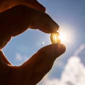 Vitamin D helps regulate the amount of calcium and phosphate in the body
