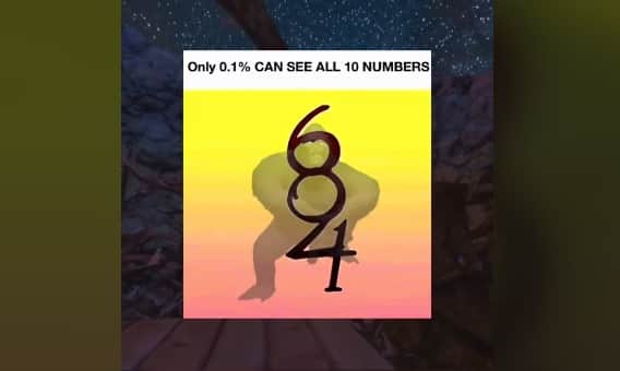 How many numbers can you see? (Photo: TikTok / @purpzsaur)