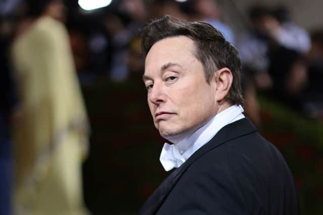 Commentators have suggested Elon Musk only launched  his Twitter takeover bid to destabilise the platform (image: Getty Images)