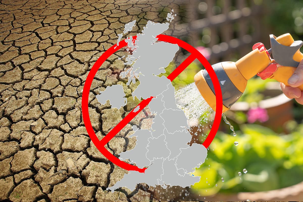 Is there a hosepipe ban in my area? How to check local rules