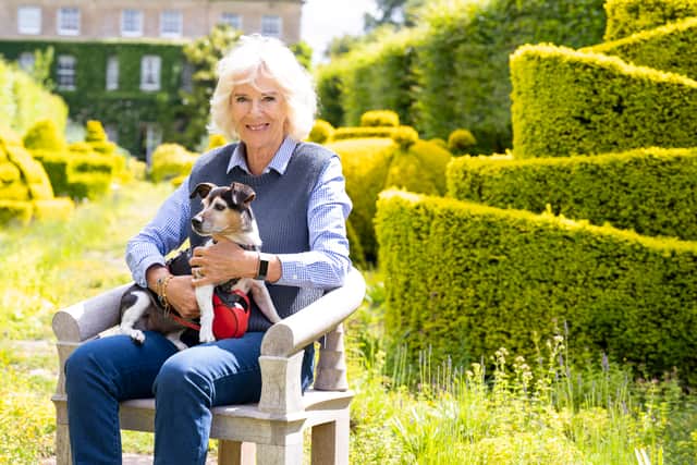 Camilla, Duchess of Cornwall, guest edited the latest edition of Country Life