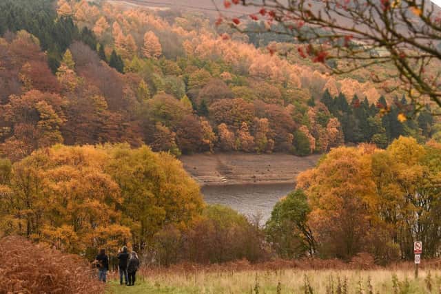 Walkers explore the hills around Ladybower reservoir in the Upper Derwent Valley in Derbyshire, northern England on November 6, 2018, as the colours of autumn are seen in the surrounding trees and countryside. (Photo by PAUL ELLIS/AFP via Getty Images)