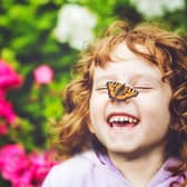 The Big Butterfly Count asks wildlife lovers to record the amount of butterflies they see in their local area.