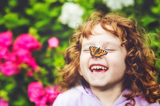 The Big Butterfly Count asks wildlife lovers to record the amount of butterflies they see in their local area.