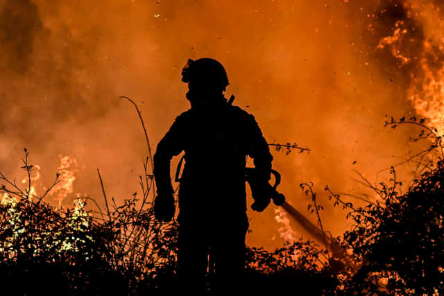 A firefighter tackles a forest fire around the village of Eiriz in Baiao, north of Portugal (Pic: AFP via Getty Images)