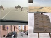 Some of the sights along the way in northern Africa - including camels on the road (Photos: William Montgomery)