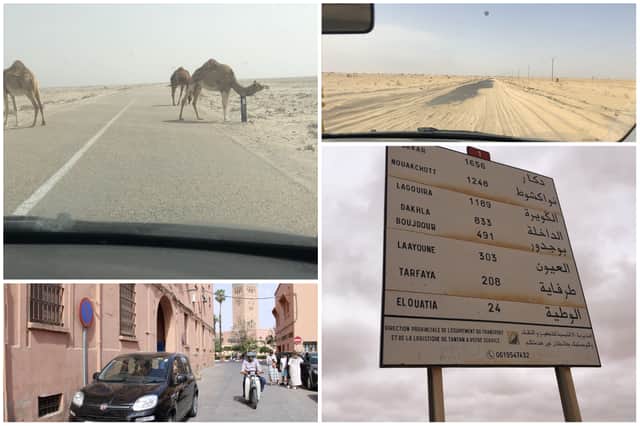 <p>Some of the sights along the way in northern Africa - including camels on the road (Photos: William Montgomery)</p>